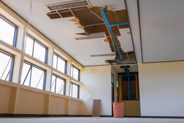 Best Fire Damage Restoration  in Vidor, TX