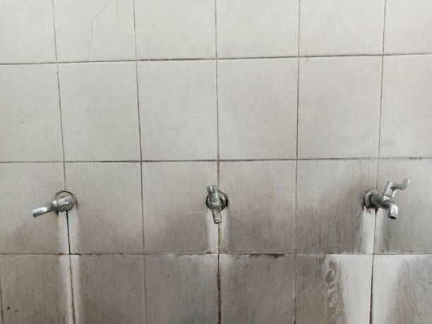Trusted Vidor, TX Water damage restoration Experts