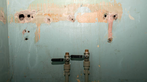 Best Water damage cleanup near me  in Vidor, TX