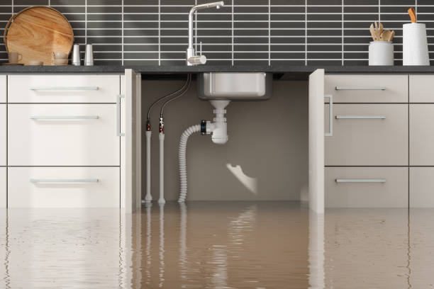 Best Residential water damage restoration  in Vidor, TX