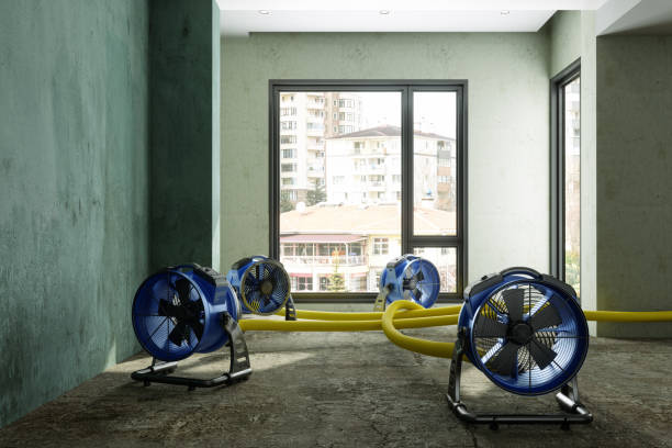 Best Sewage cleanup and water damage restoration  in Vidor, TX